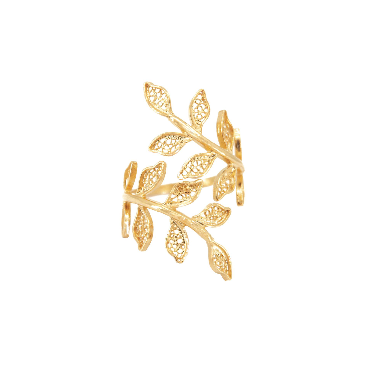 Golden silver cycle ring - elegant and contemporary design