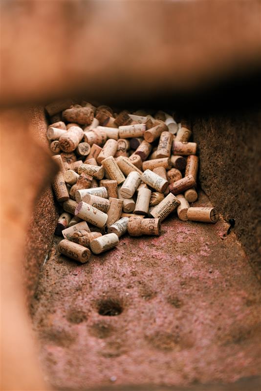 Dia Nacional da Sustentabilidade - Upcycling Cork